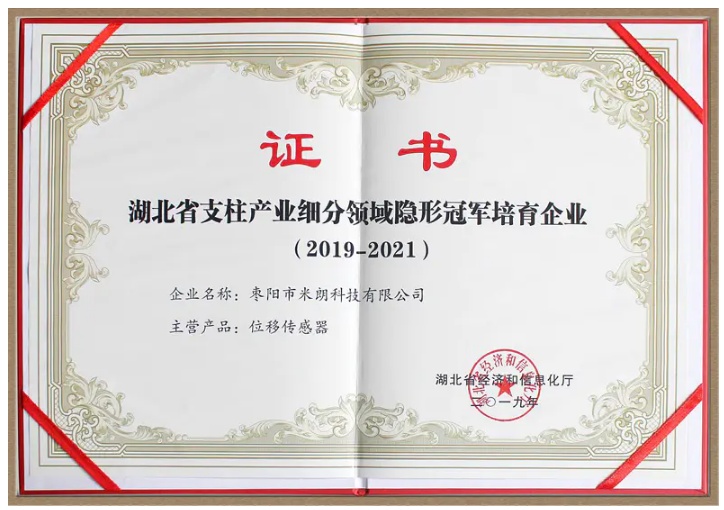 湖北省支柱产业细分领域隐形冠军证书