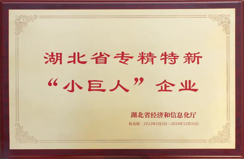 湖北枣阳：专精特新“小巨人”释放发展大能量《湖北米朗科技股份》